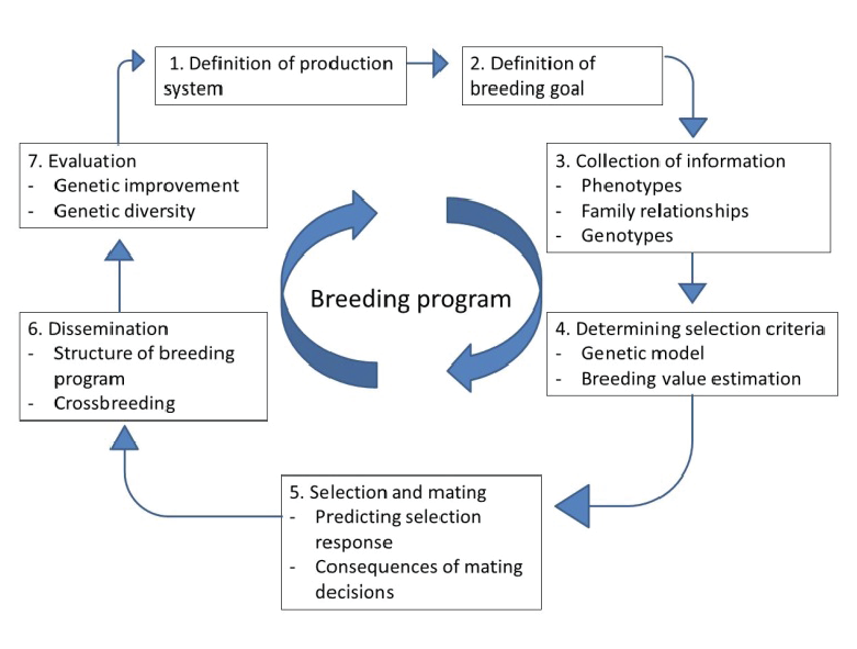 breeding programs outtake.png