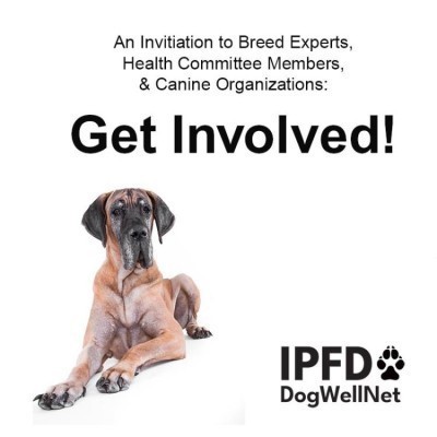 Get involved tile.jpg