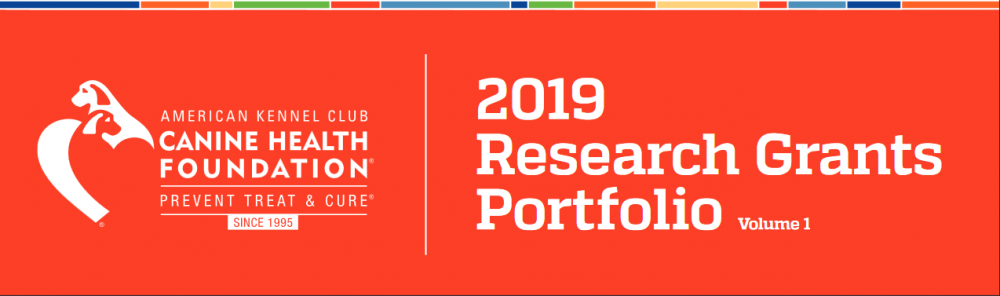 chfresearch grants2019.png