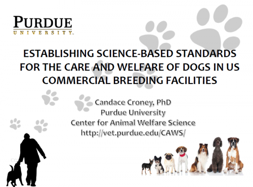 More information about "Establishing Science-Based Standards for the Care and Welfare of Dogs in US Commercial Breeding Facilities-C. Croney"