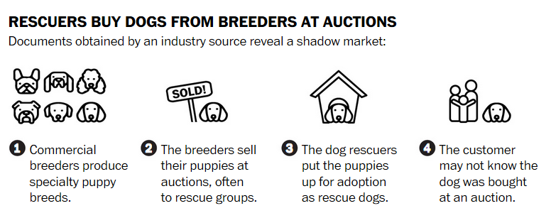 wp - rescuers at auctions.png