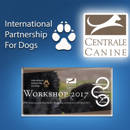 More information about "Posters - IPFD 3rd International Dog Health Workshop"