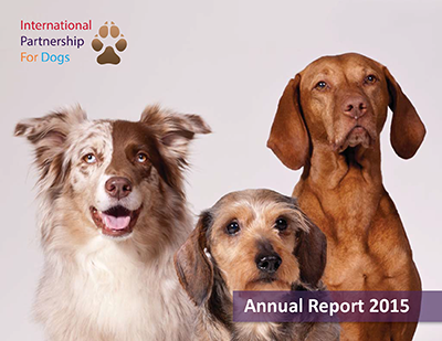 Annual  Report Cover.png