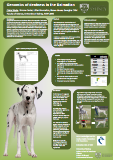 More information about "Genomics of deafness in the Dalmatian"