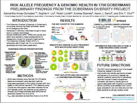More information about "Risk Allele Frequency & Genomic Health in 1700 Dobermans Preliminary Findings from the Doberman Diversity Project"