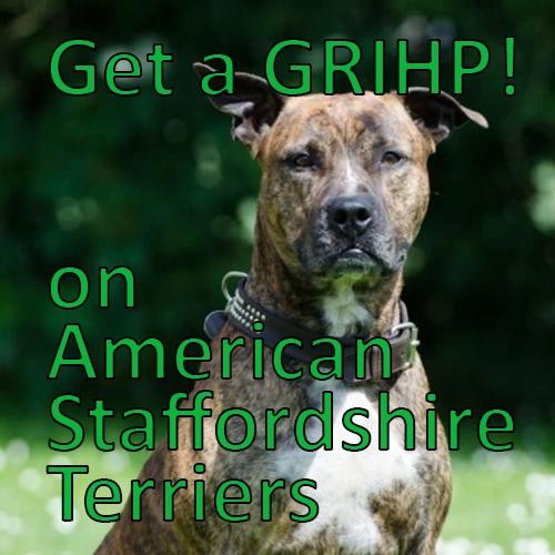 More information about "Get a GRIHP! on American Staffordshire Terriers"
