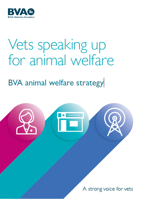 BVA-welfare-.png