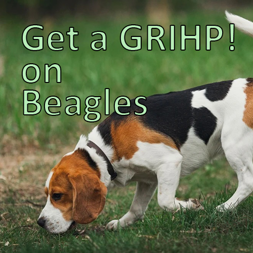 More information about "Get a GRIHP! on Beagles"
