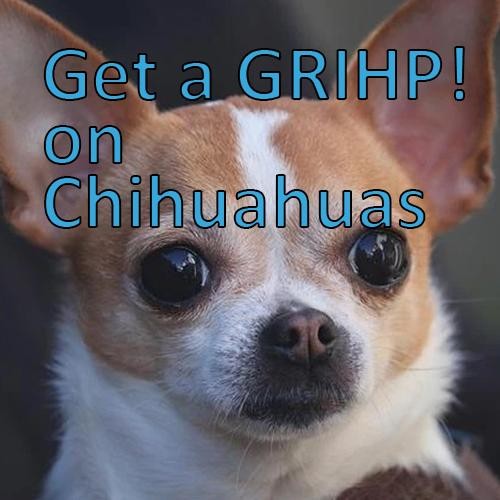 More information about "Get a GRIHP! on Chihuahuas"