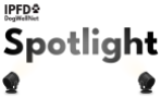 Spotlight 2020.png