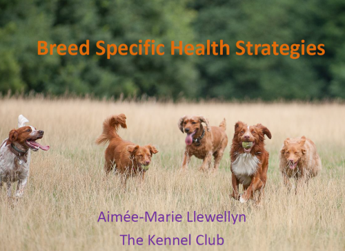 More information about "Plenary talks 2nd IDHW: Breed-Specific Health Strategies"