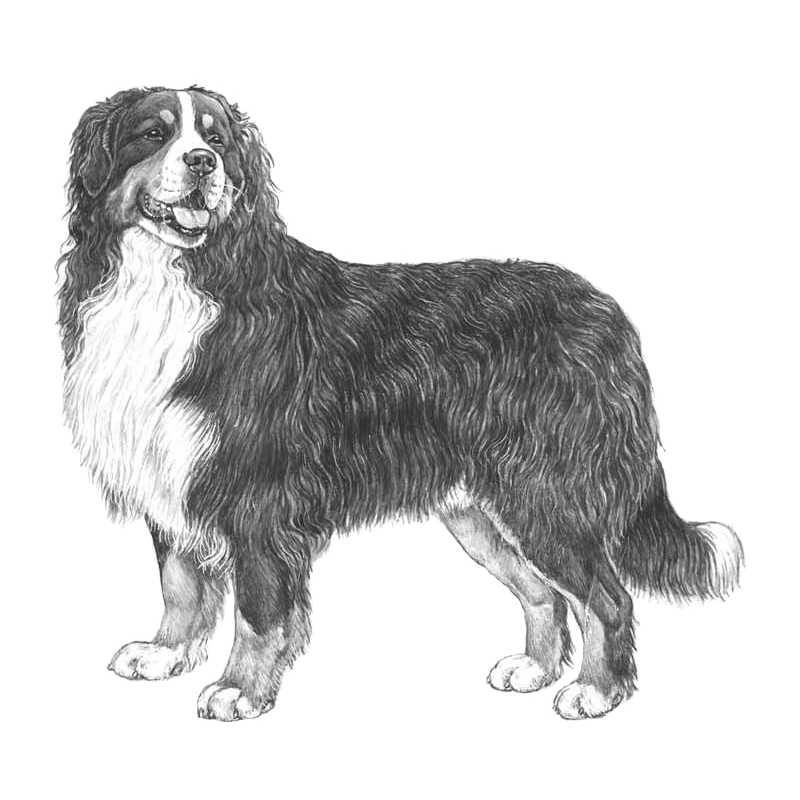 195ee40911d12bdae8c1bc6b1635e6322f98093f