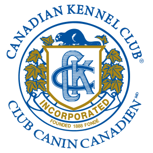 Ckc clearance pedigree database