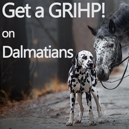 Get a GRIHP! on Dalmatians - Breed-Specific Health Reports - DogWellNet