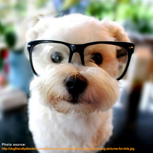 dog-with-glasses.png