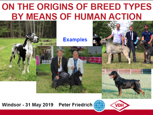 More information about "On the Origins of Breed Types by Means of Human Action-Peter Friedrich-"