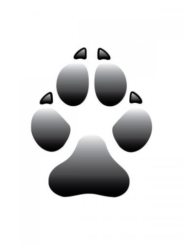 More information about "Pawprint (white background)"