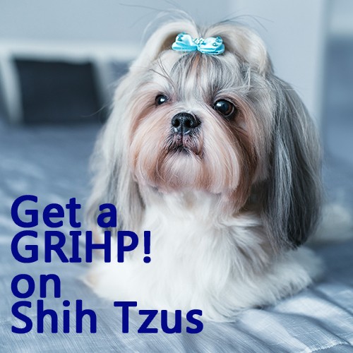 1cc61036bf0bc0d4c8904d27c9aaa380f0d39607