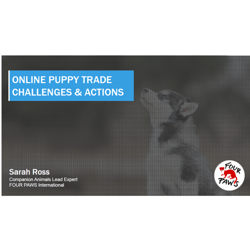 More information about "Supply and Demand: Online Puppy Trade -- Challenges and Actions - Sarah Ross"