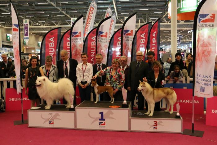 blogentry-68-0-75520200-1425905164_thumb