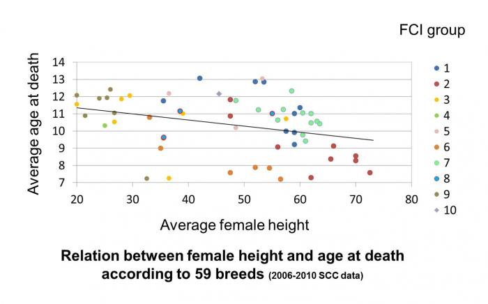blogentry-20-0-54128000-1429886622_thumb