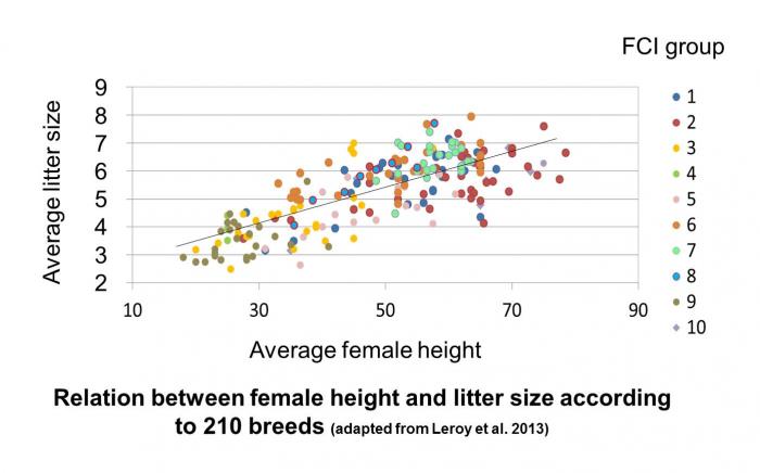 blogentry-20-0-74373300-1429886428_thumb