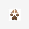 More information about "French Bulldog Breed Watch Report"