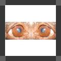 More information about "Eye Health in Dogs|Comprehensive"