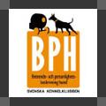 More information about "Behavior BPH for IPFD workshop 2015"