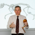 More information about "Plenary talks 2nd IDHW: Dogs in Motion"