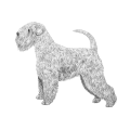 More information about "Irish Soft Coated Wheaten Terrier Registration Statistics - multiple KCs"