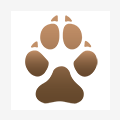 More information about "International and collaborative strategies to enhance genetic health in purebred dogs"