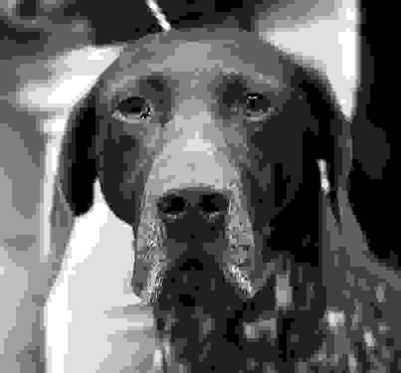 blog-0497140001442333414.jpg