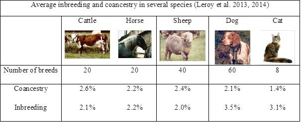 blogentry-20-0-16363800-1418831108.thumb