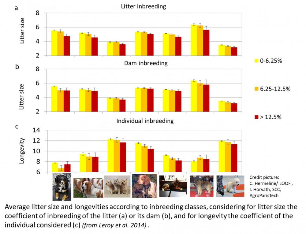 blogentry-20-0-76952500-1418832390.thumb