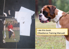 boxeratebook.thumb.png.a24f87b7464b9e0c3