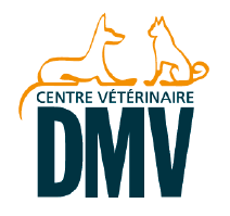 cenrtreveterinaire.thumb.png.dd48e311de7