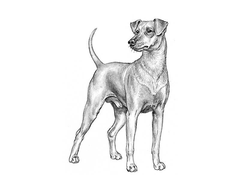 gallery_2_16_17519.thumb.jpg.f14c274d089