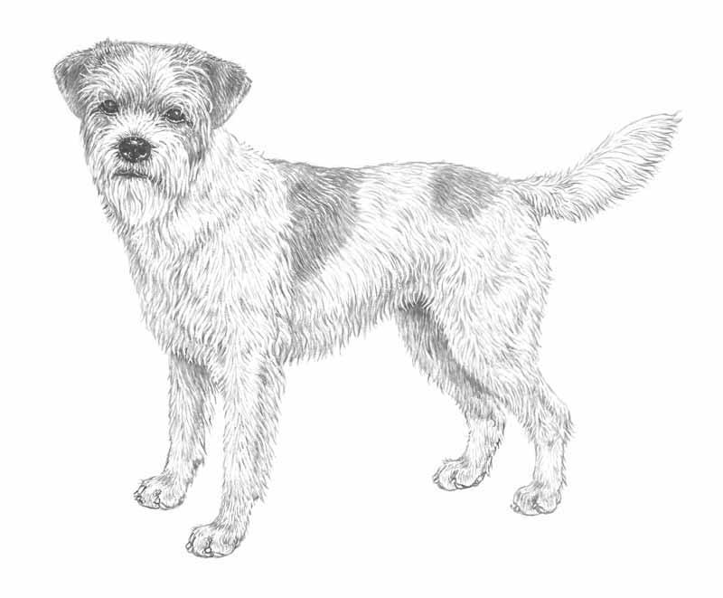 gallery_2_16_34680.thumb.jpg.e51f29b9ef4