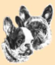ikfb-article-interview.thumb.png.ec9db5d