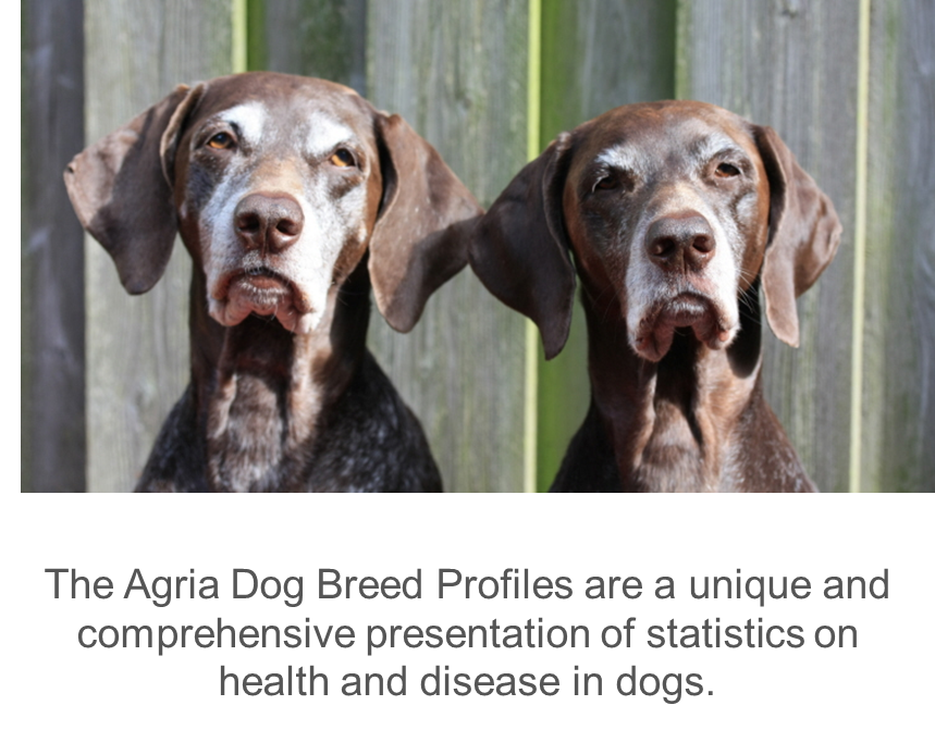 Agria_Breed_Profiles_pointers.thumb.png.