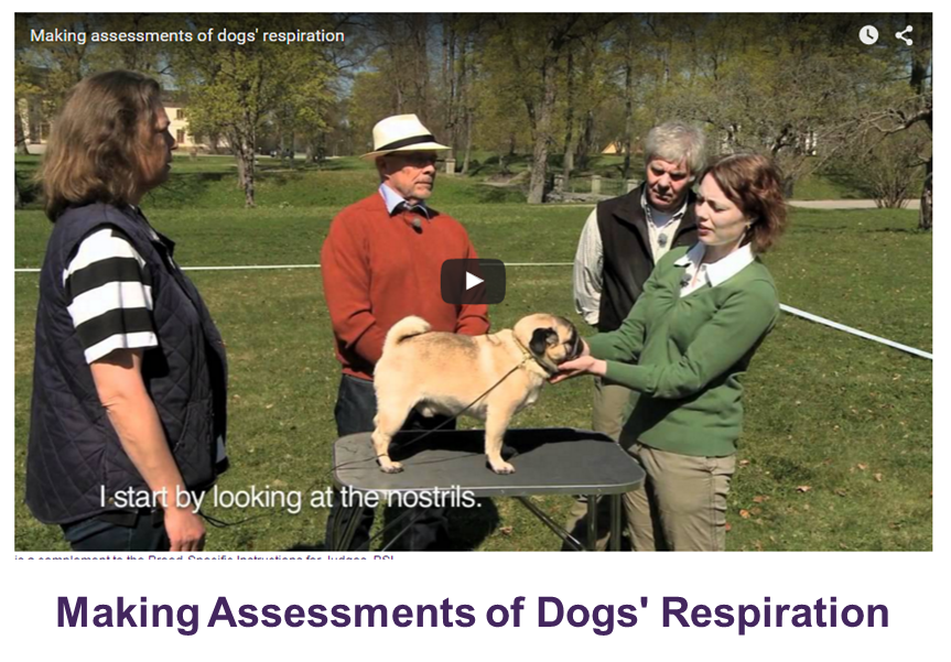 Breathing_video.thumb.png.0ca621b313936d