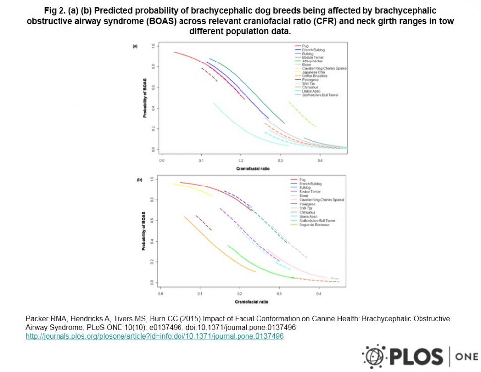 figure.thumb.jpg.2a83f37586ad00dd5d478f3