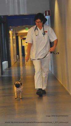 pugstudyfinland2012.jpg