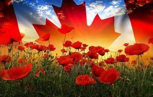remembrance_day.thumb.jpg.71f4ccdb5cb09a