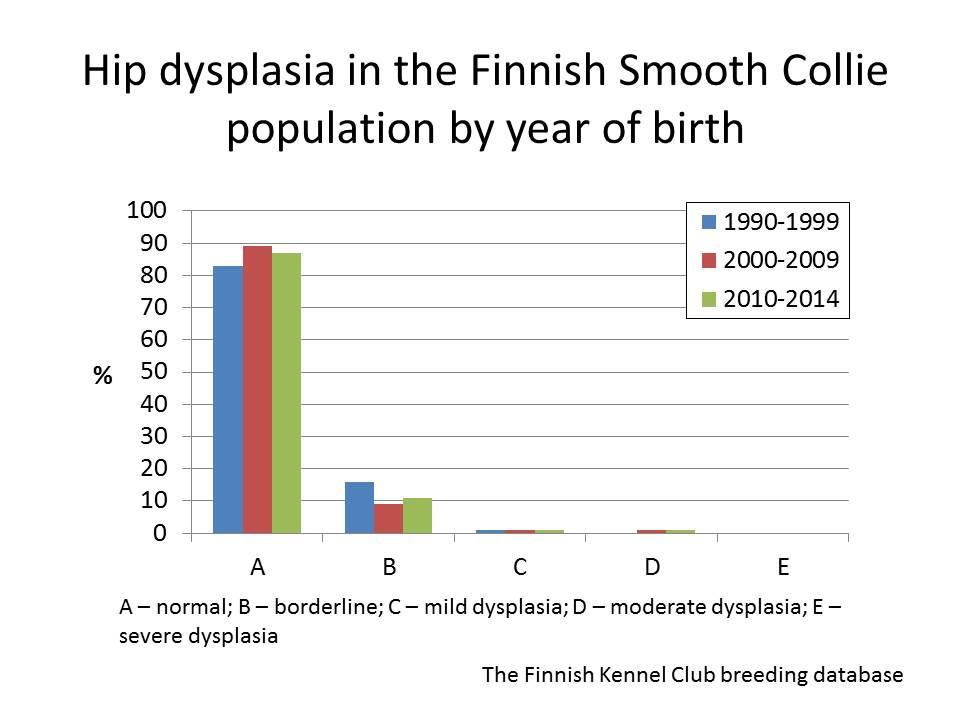 Smooth Collie HD.jpg