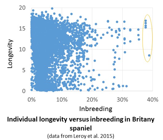 Figure1.jpg.953c597a47384bb9f8dd3fa64d0a