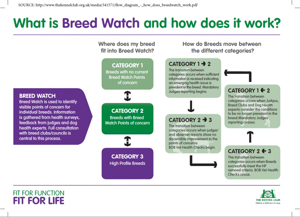 KC-breedwatchchartgraphic.png