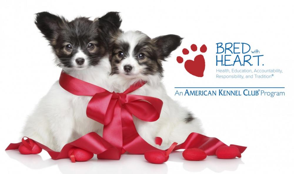BWH_puppies_logo.jpg