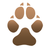 More information about "German Pinscher Registrations Statistics - multiple KCs"